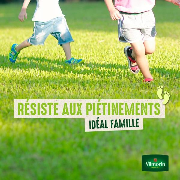 Ultra résistant - Gazon Ultra Résistant - Label Rouge - 10 kg - image